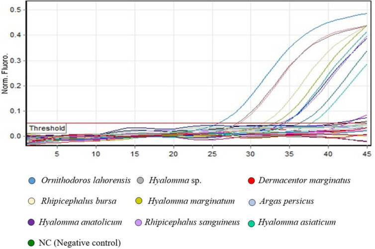 Molecular Detection of <i>Coxiella burnetii</i> in Ticks Isolated from Domestic Animals in Slaughterhouses and Farms, Shahr-E-Rey, Tehran, Iran.
