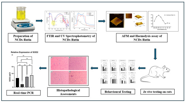 Therapeutic Potential of Nitrogen-Doped Rutin-Bound Glucose Carbon Dots for Alzheimer's Disease.