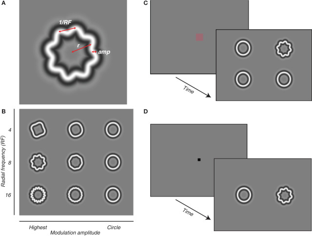 Development of radial frequency pattern perception in macaque monkeys.