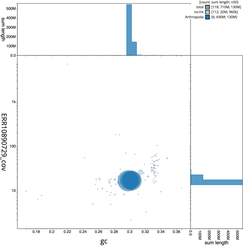 The genome sequence of a bluebottle fly, <i>Calliphora vicina</i> Robineau-Desvoidy, 1830.