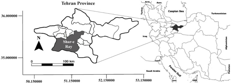 Molecular Detection of <i>Coxiella burnetii</i> in Ticks Isolated from Domestic Animals in Slaughterhouses and Farms, Shahr-E-Rey, Tehran, Iran.
