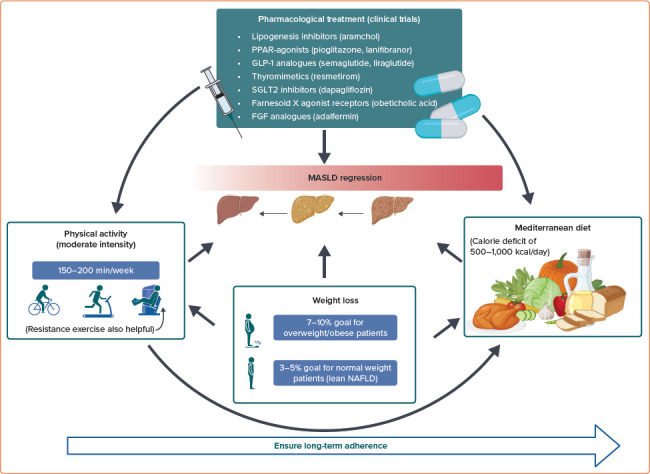 Treatment Options and Continuity of Care in Metabolic-associated Fatty Liver Disease: A Multidisciplinary Approach.