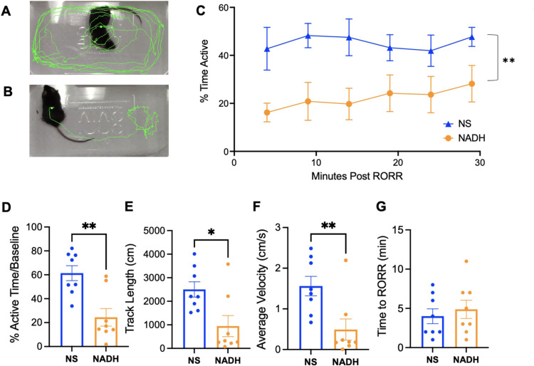 Nicotinamide Adenine Dinucleotide Does Not Improve Anesthetic Recovery in Rodents.