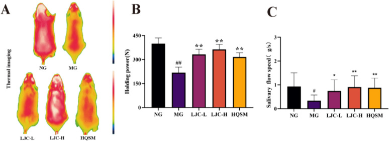 The effect of modified Qiyuan paste on mice with low immunity and sleep deprivation by regulating GABA nerve and immune system.
