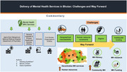 Delivery of Mental Health Services in Bhutan: Challenges and Way Forward.