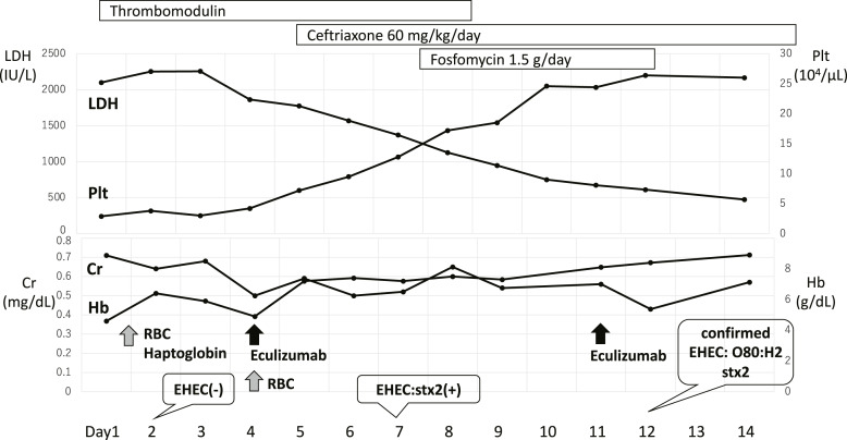 O80:H2-Associated Hemolytic Uremic Syndrome without Hemorrhagic Colitis: A Case Report.