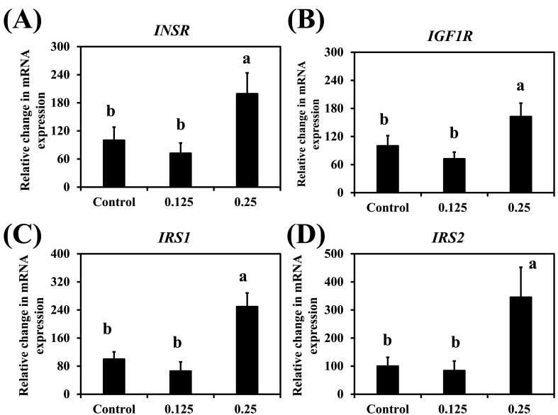 Embryonic Cadaverine Signaling: Implications for Plasma Free Amino Acid and Skeletal Muscle Energy Metabolism in Newly Hatched Chicks.