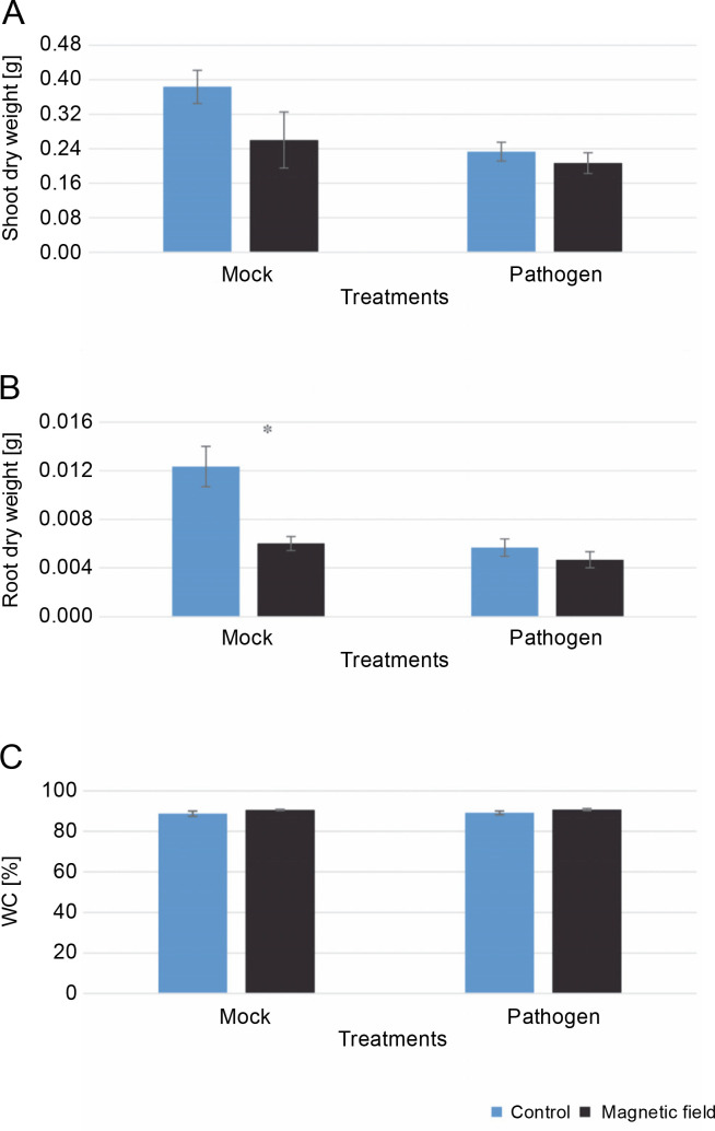 Evaluation of the effect of magnetic field on rapeseed growth and the causal agent of blackleg disease, <i>Phoma lingam</i>.