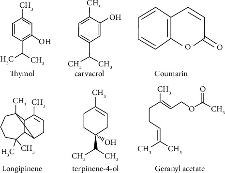 Anti-<i>Helicobacter pylori</i> Effects of <i>Thymus caramanicus</i> Jalas Essential Oils: A New Antimicrobial Approach.