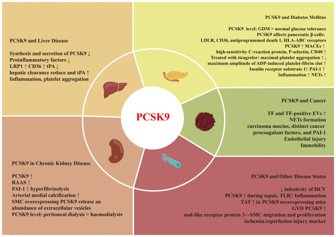 Effects of PCSK9 on thrombosis and haemostasis in a variety of metabolic states: Lipids and beyond (Review).