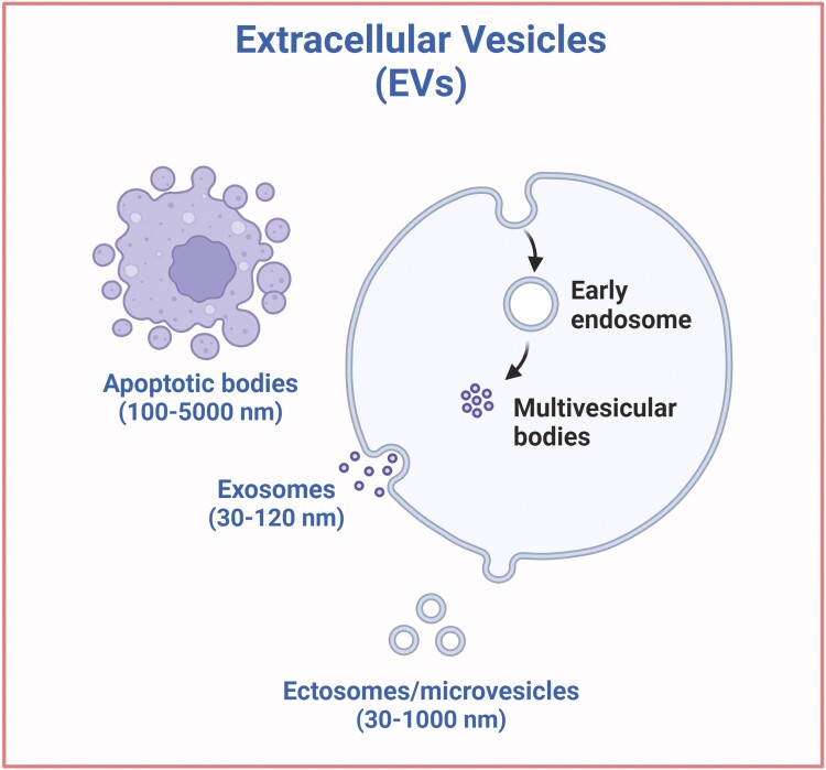 Extracellular vesicles: an emerging tool for wild immunology.