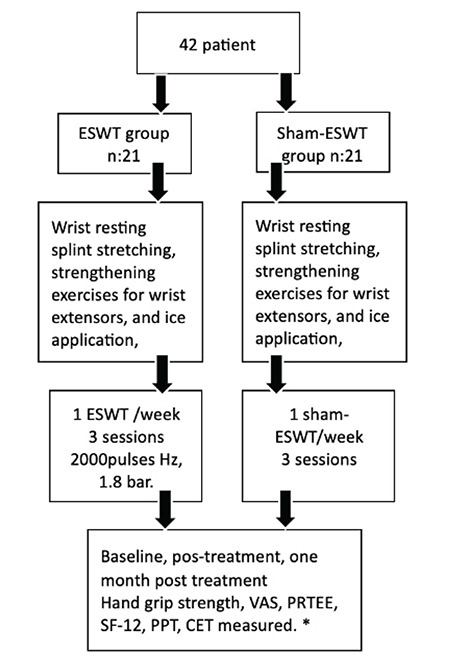 Clinical and Sonographic Evaluation of the Effectiveness of Extracorporeal Shock Wave Therapy in Patients with Lateral Epicondylitis.