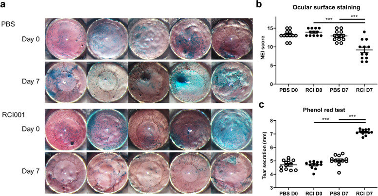 Efficacy of RCI001 as a therapeutic candidate of dry eye disease in a modified mixed dry eye model.