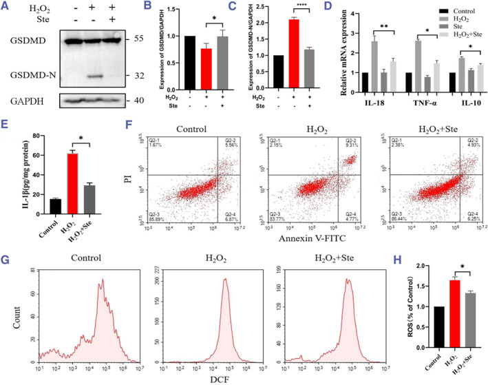 Stevioside protects against acute kidney injury by inhibiting gasdermin D pathway.