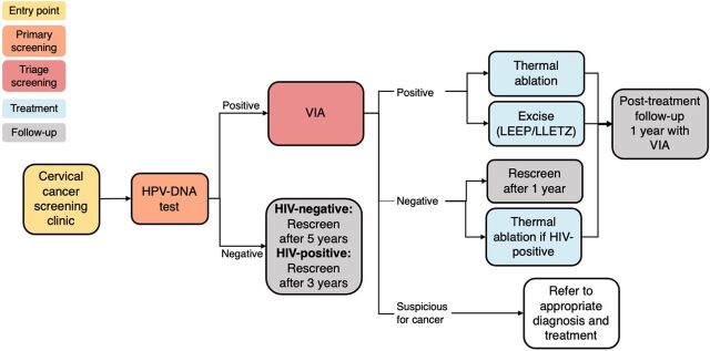 Lessons From the Design and Rollout of an Electronic Medical Record System for Cervical Cancer Screening in Rwanda.