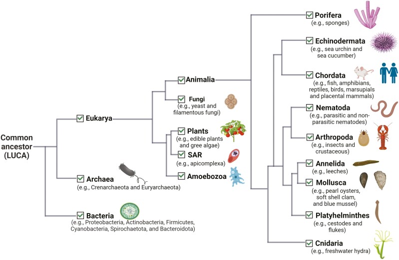 Extracellular vesicles: an emerging tool for wild immunology.