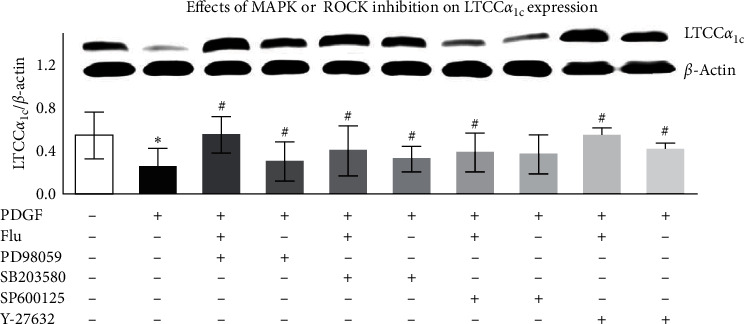 Corrigendum to "Fluvastatin Upregulates the <i>α</i> <sub>1C</sub> Subunit of CaV1.2 Channel Expression in Vascular Smooth Muscle Cells via RhoA and ERK/p38 MAPK Pathways".