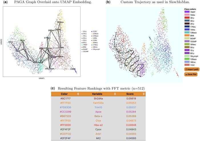 SlowMoMan: a web app for discovery of important features along user-drawn trajectories in 2D embeddings.