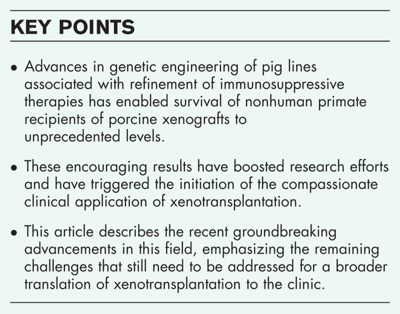 Current challenges in xenotransplantation.
