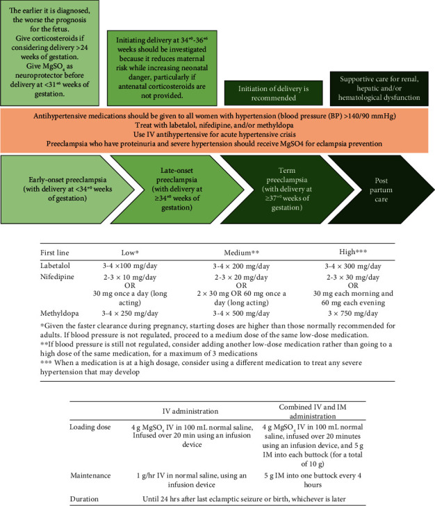 Connecting the Dots: Exploring the Interplay Between Preeclampsia and Peripartum Cardiomyopathy.