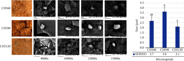 Microencapsulation, Physicochemical Characterization, and Antioxidant, Antibacterial, and Antiplasmodial Activities of <i>Holothuria atra</i> Microcapsule.
