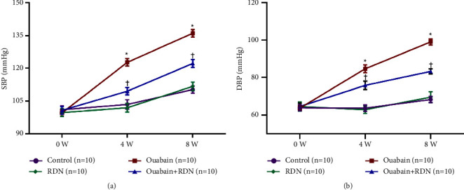 Effects of Renal Denervation on Ouabain-Induced Hypertension in Rats.
