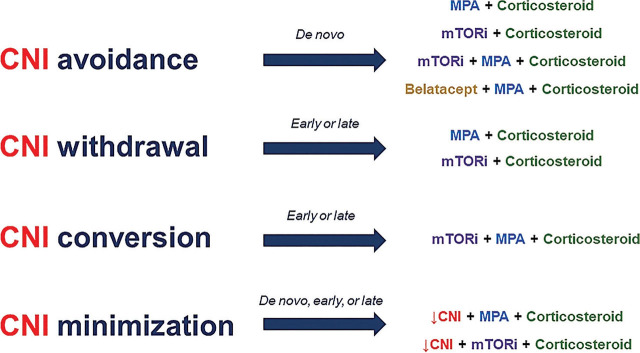 A review of landmark studies on maintenance immunosuppressive regimens in kidney transplantation.