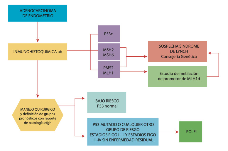 Colombian consensus for the molecular diagnosis of endometrial cancer