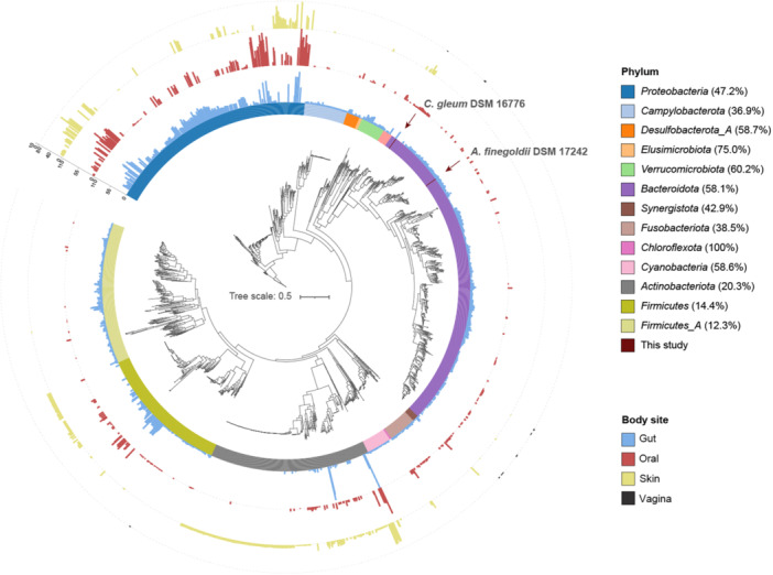 Identification of 3-ketocapnine reductase activity within the human microbiota.
