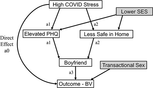 Increased reproductive tract infections among secondary school girls during the COVID-19 pandemic: associations with pandemic-related stress, mental health, and domestic safety.