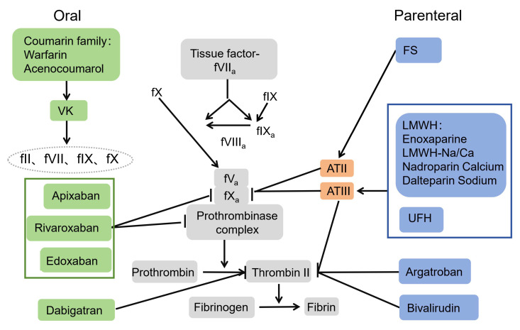 A Comparison Between Fondaparinux Sodium and Low-Molecular-Weight Heparin in Preventing Patients Undergoing Hip Replacement from Deep Vein Thrombosis.