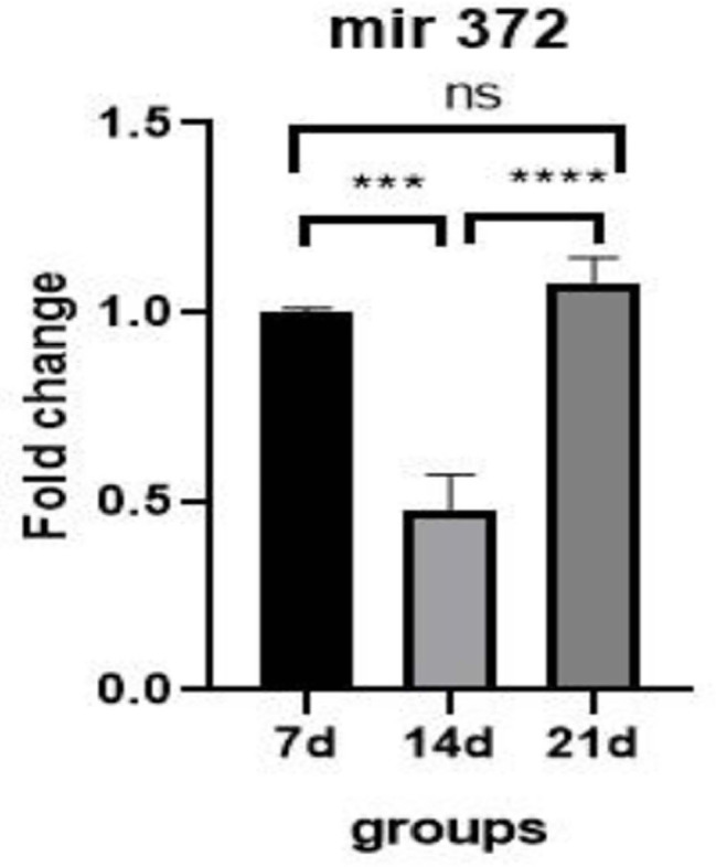 Evaluation of the expression level of microRNA-21, microRNA-15a, microRNA-372 in human follicular fluid stem cells-derived oocyte-like cells (OLCs).