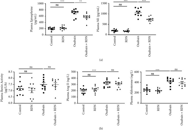 Effects of Renal Denervation on Ouabain-Induced Hypertension in Rats.