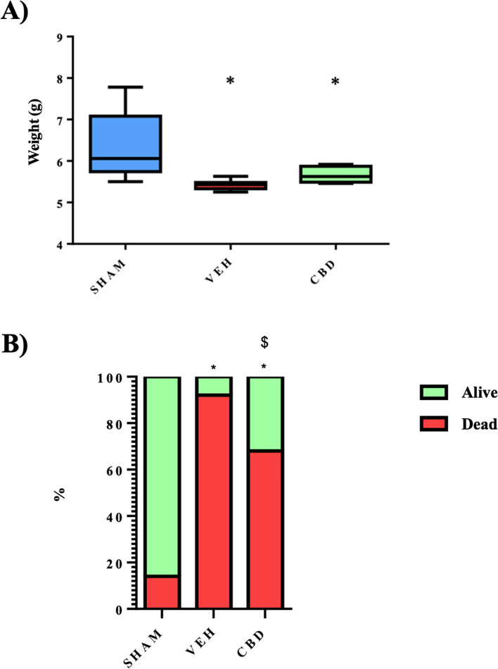 Cannabidiol decreases histological intestinal injury in a neonatal experimental model of necrotizing enterocolitis.