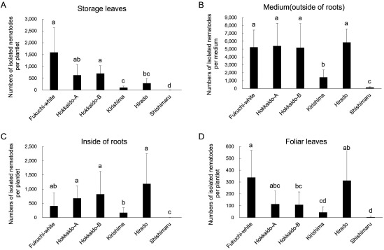 Evaluation of host status of garlic varieties for a plant-parasitic nematode, <i>Ditylenchus destructor</i>, by using in vitro inoculation.