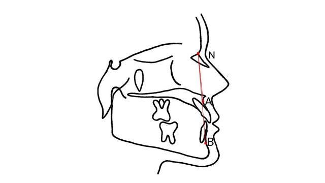 Abstract Image