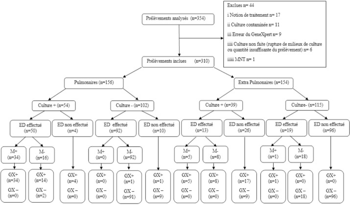 [Evaluation of molecular diagnosis of tuberculosis and resistance to rifampicin with GeneXpert<sup>®</sup> MTB/RIF in Algeria].