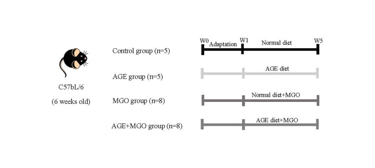 Effects of Acute Exposure to Methylglyoxal or/and A Diet Rich in Advanced Glycation End Products on Sperm Parameters in Mice.