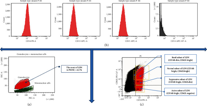 Potential Association of Maker Expression of Low-Density Neutrophils and Their Phenotypes in Patients with Periodontitis: Control Study.