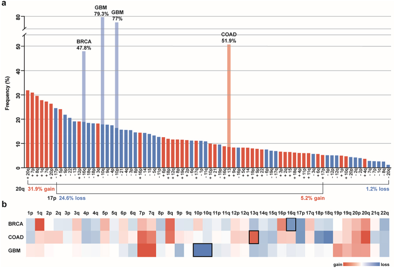 Selection forces underlying aneuploidy patterns in cancer.