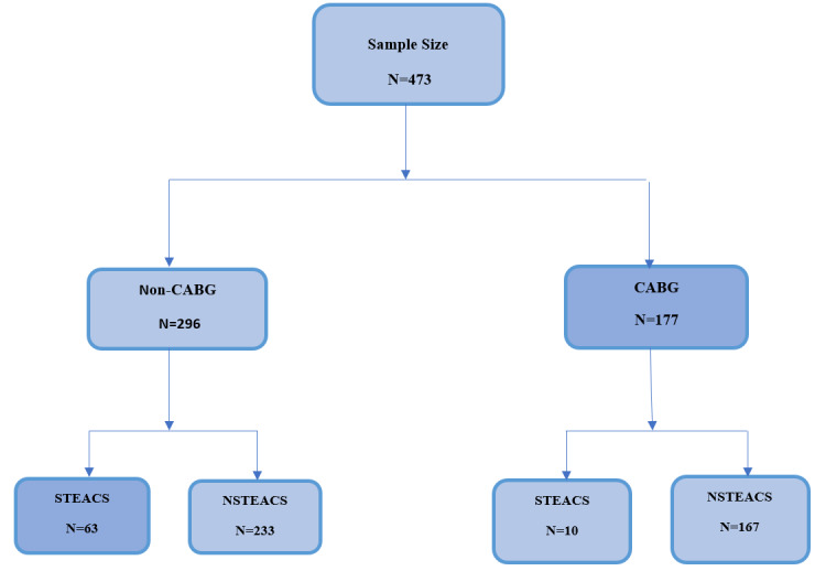 Unveiling Cardiovascular Outcomes: A Comparative Analysis of CABG Recipients versus Non-CABG Patients in the Management of Acute Coronary Syndrome (ACS).