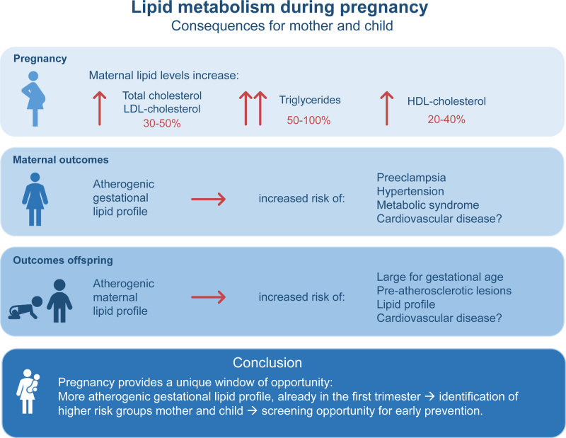 Lipid metabolism during pregnancy: consequences for mother and child.