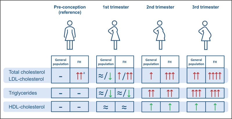 Lipid metabolism during pregnancy: consequences for mother and child.