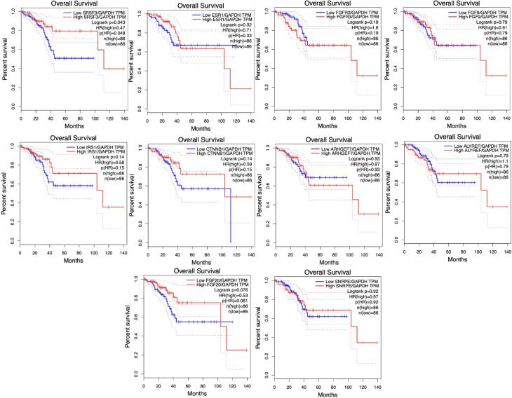 Identification of key pathways and molecular players potentially involved in endometrial cancer metastasis through integrated bioinformatics analyses.