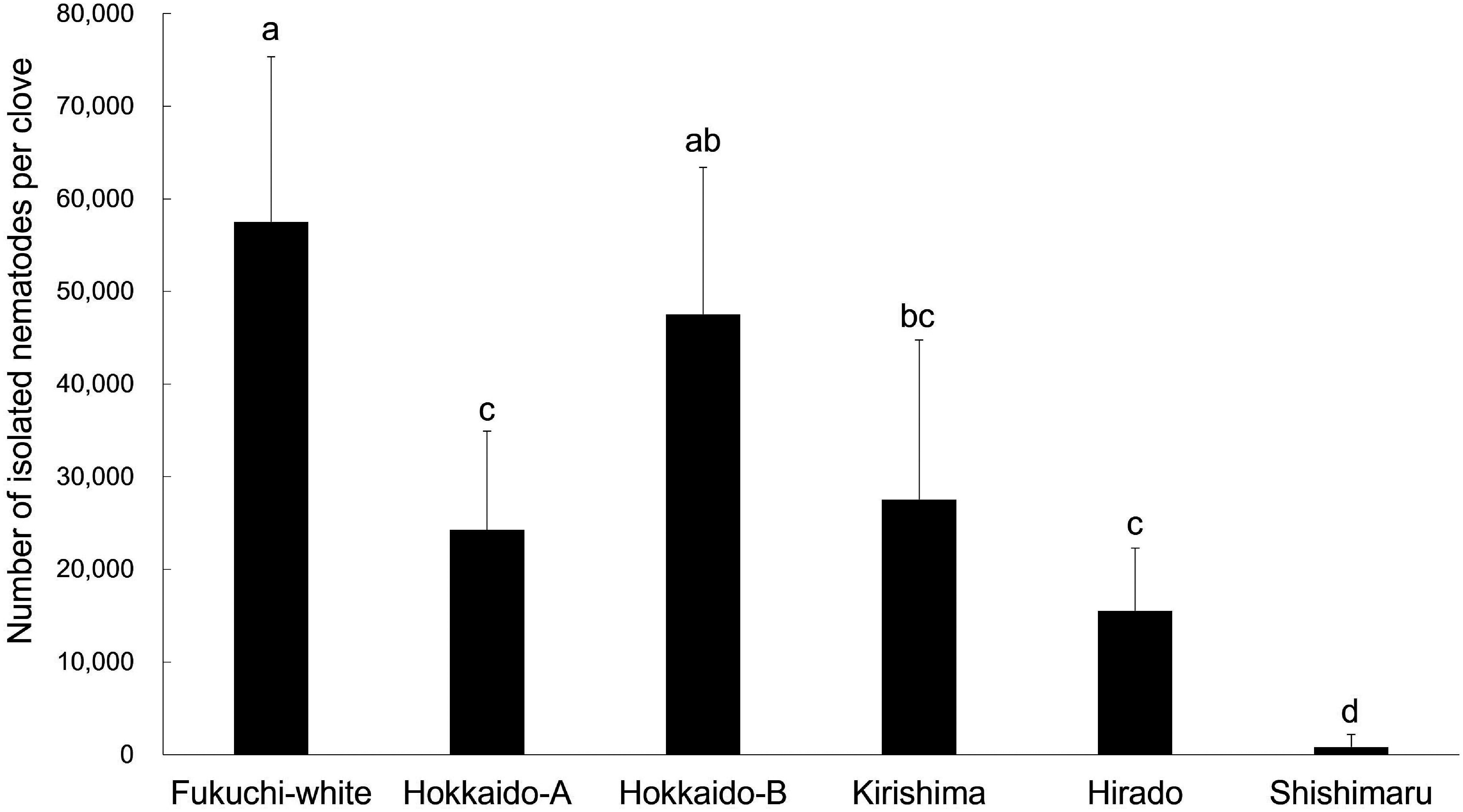 Evaluation of host status of garlic varieties for a plant-parasitic nematode, <i>Ditylenchus destructor</i>, by using in vitro inoculation.
