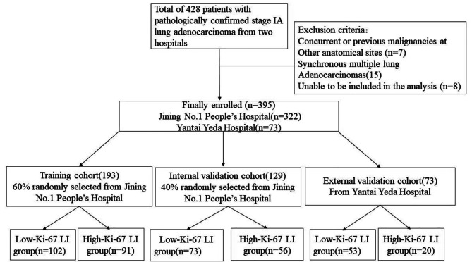 Nomogram for the preoperative prediction of Ki-67 expression and prognosis in stage IA lung adenocarcinoma based on clinical and multi-slice spiral computed tomography features.