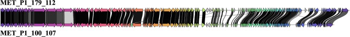 Abstract Image