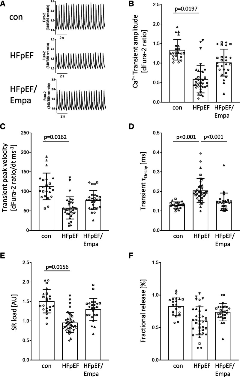 Empagliflozin Improves Diastolic Function in HFpEF by Restabilizing the Mitochondrial Respiratory Chain.