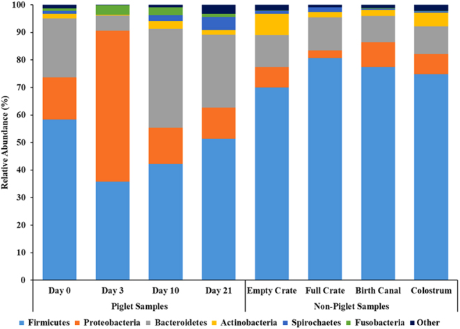 Maternal versus environmental contributions to the piglet pioneer microbiome.