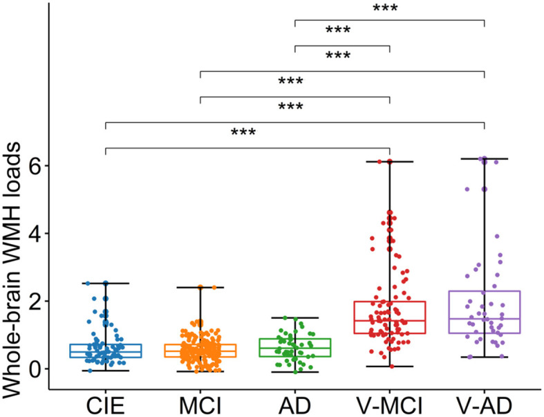 Cerebrovascular lesion loads and accelerated brain aging: insights into the cognitive spectrum.